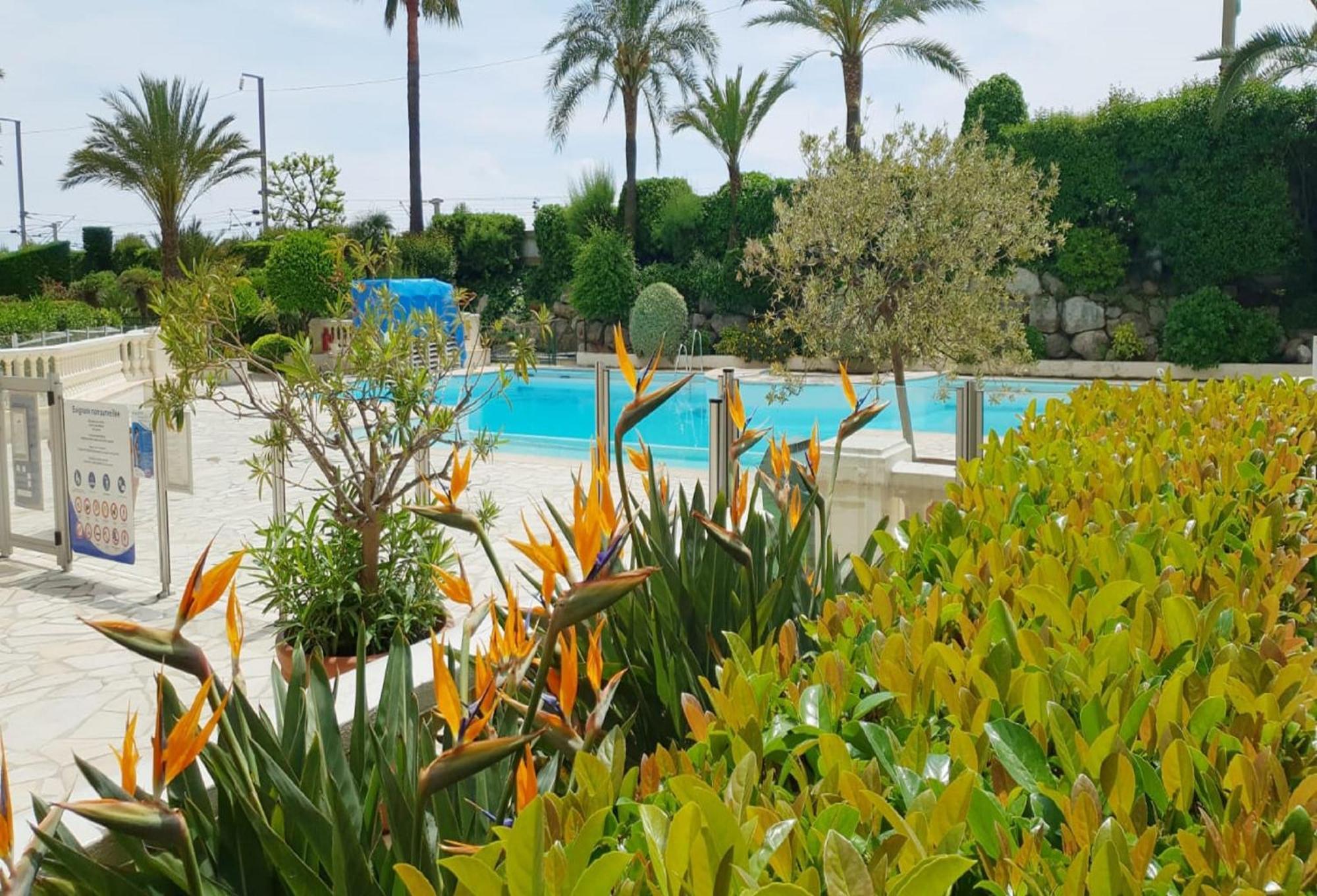 Sea View La Palme D'azur Steps Away From The And Perfect For Holidays & Business Trips * Cannes